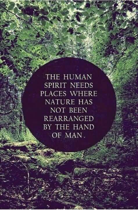 The human spirit needs places where nature has not been rearranged by the hand of man