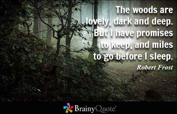 The woods are lovely, dark and deep. But I have promises to keep, and miles to go before I sleep. - Robert Frost