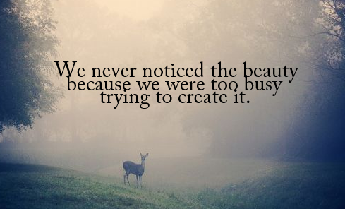 We never noticed the beauty because we were too busy trying to create it.
