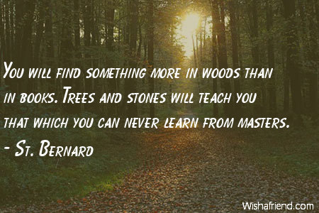 You will find something more in woods than in books. Trees and stones will teach you that which you can never learn from masters. - Saint Bernard
