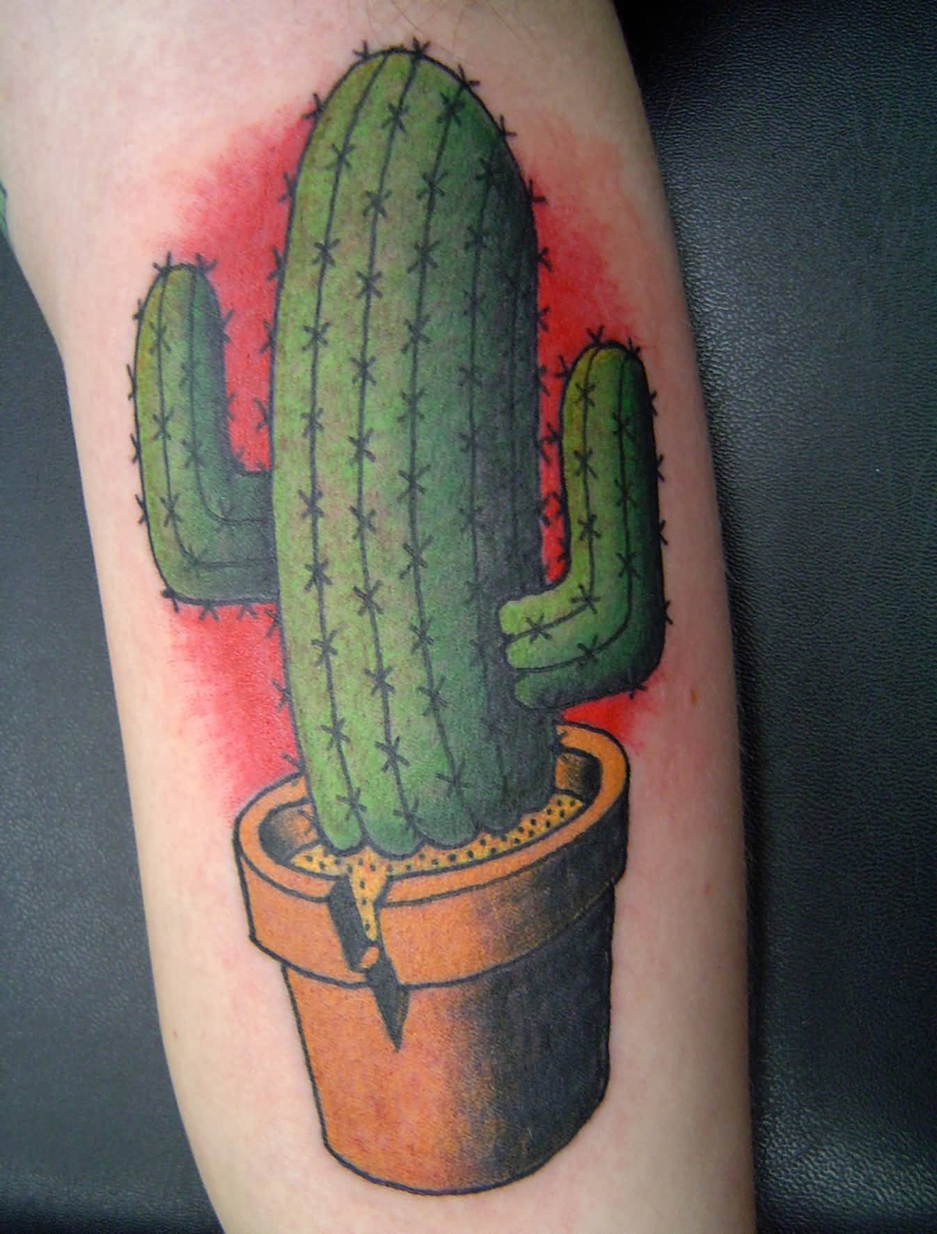 Awesome Saguaro Cactus In Pot Traditional Tattoo