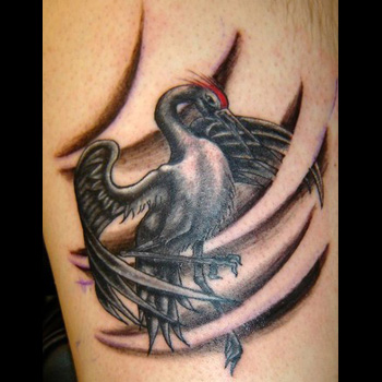 Black And Grey Crane Tattoo On Leg