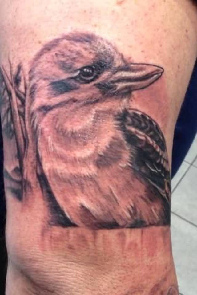 Black And Grey Kookaburra Tattoo