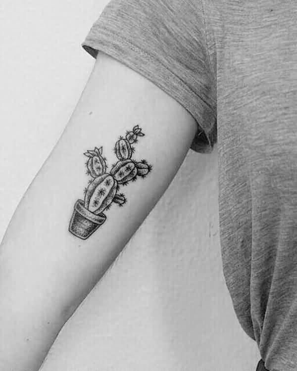 Black And White Small Cactus With Pot Tattoo On Bicep