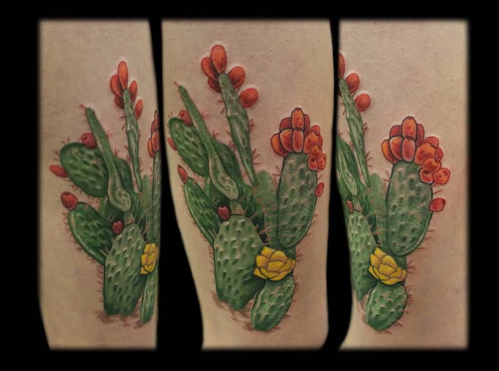 Brilliant Cactus With Flower Tattoo By Annie Mess