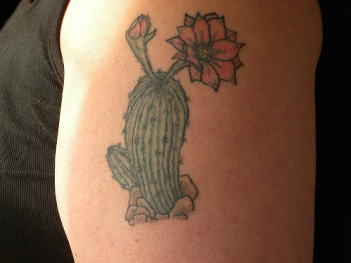 Cactus And Flowers Traditional Tattoo On Left Shoulder