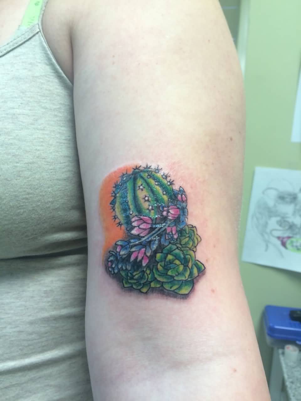 Cactus With Green Color Flowers Tattoo On Half Sleeve