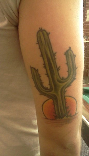 Cactus With Red Circle Traditional Tattoo On Half Sleeve