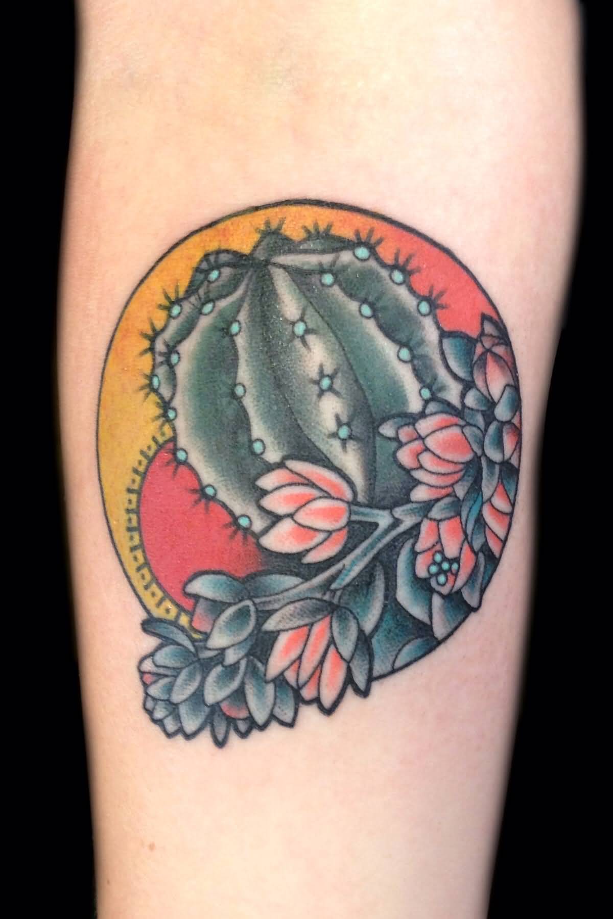 Cactus With Red Sun In Circle Traditional Tattoo On Forearm