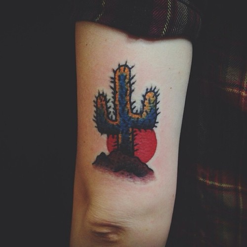 Cactus With Red Sun Traditional Tattoo On Half Sleeve