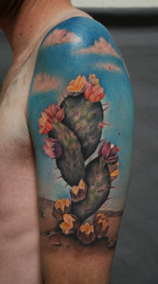 Colorful Cactus Flowers With Blue Color Sky Tattoo On Half Sleeve