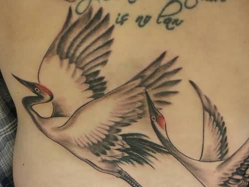 Flying Crane Tattoos On Back Body