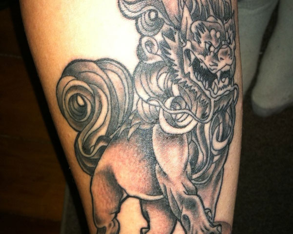 Grey And Black Color Roaring Foo Dog Tattoo On Forearm