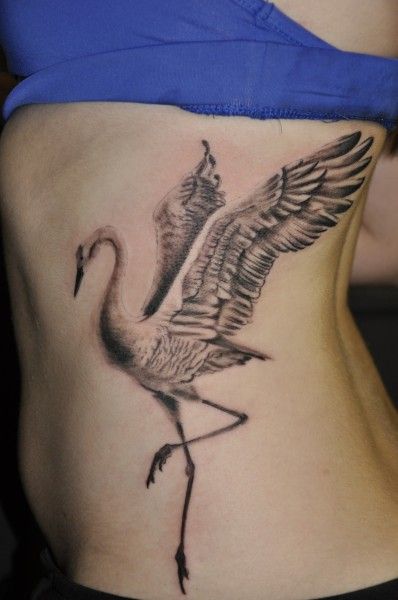 Grey And Black Crane Tattoo On Side Rib For Girls