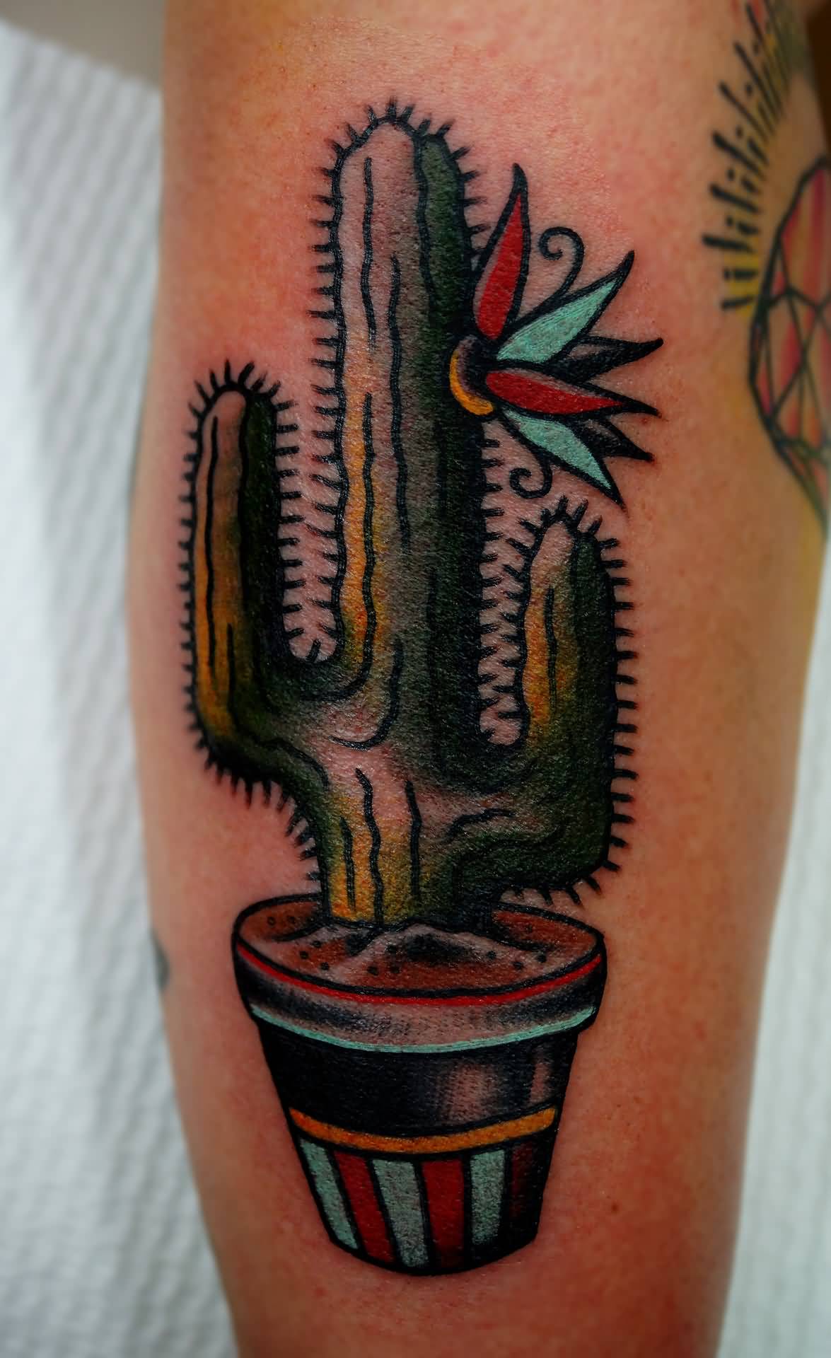 Impressive Cactus With Red And Blue Flower Traditional Tattoo.