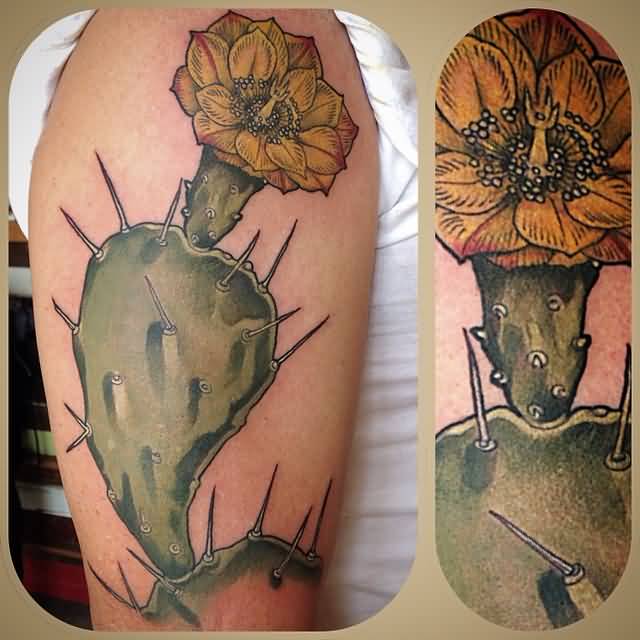 Incredible Cactus  Tattoo On Half Sleeve By Wonderland Tattoos