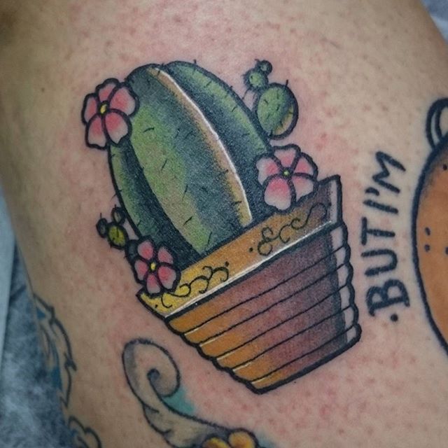 Lovely Cactus With Pot Traditional Tattoo