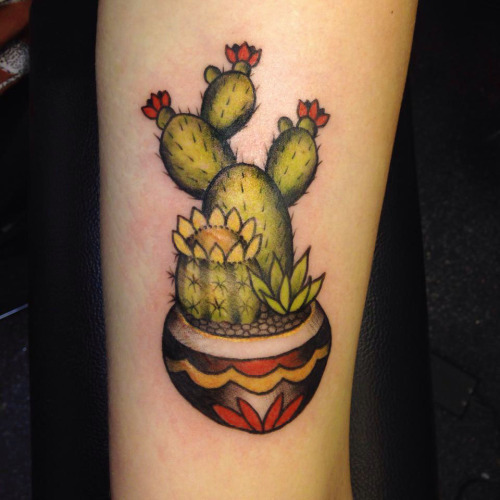 Nice Cactus Flowers In Pot Traditional Tattoo By Laura Graham