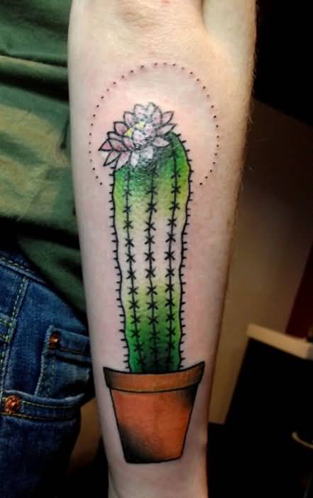 Nice Cactus With Circle Traditional Tattoo On Arm Sleeve