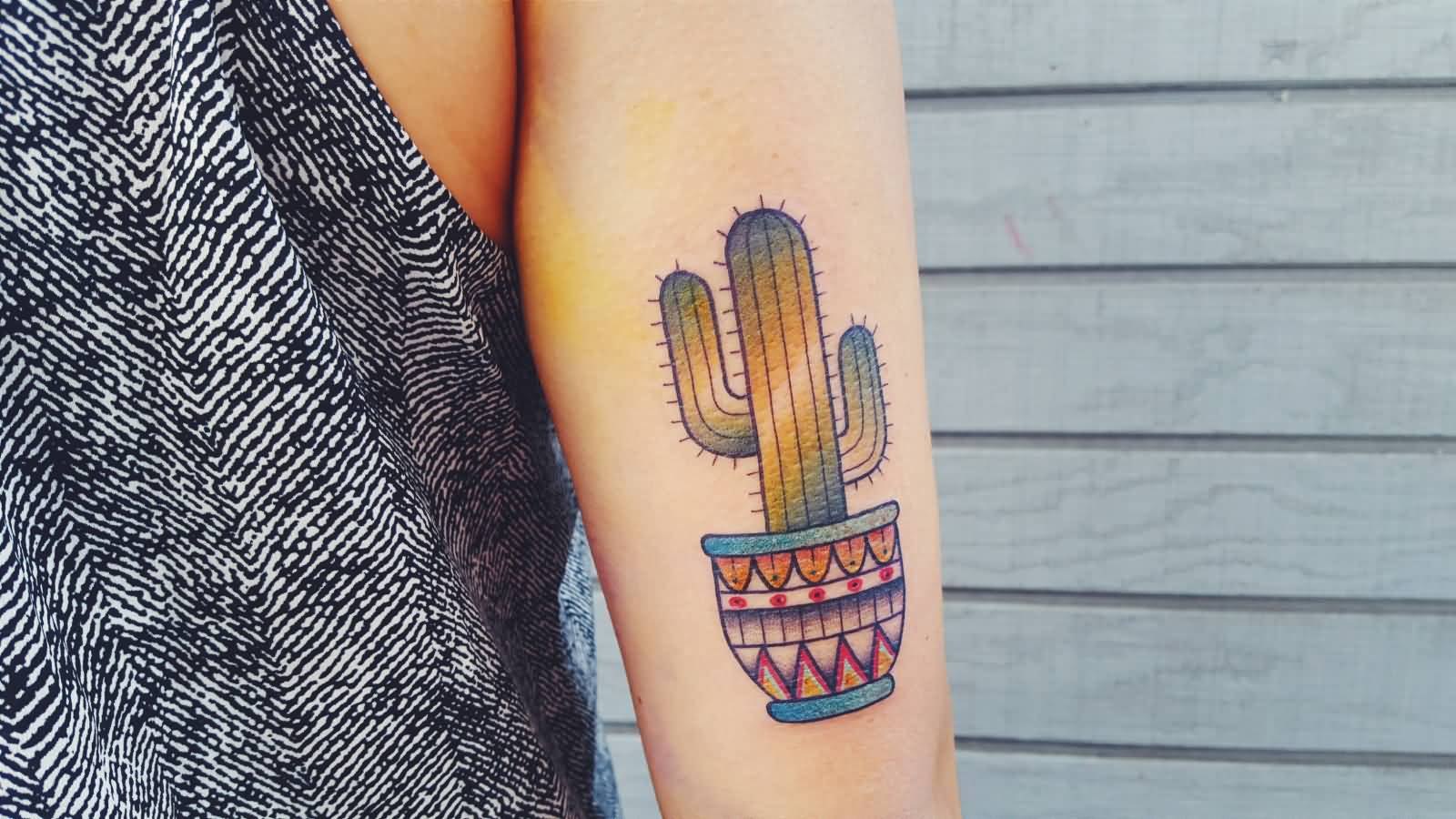 Nice Colored Traditional Cactus With Pot Tattoo On Half Sleeve