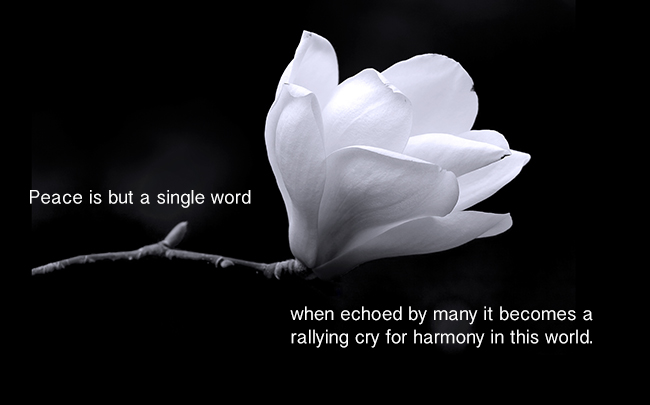 Peace is but a single word – when echoed by many it becomes a rallying cry for harmony in this world.