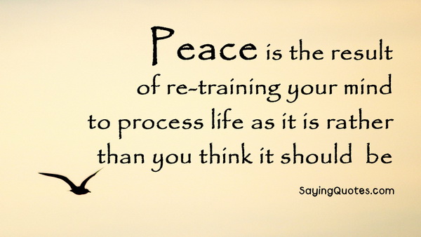 Peace is the result of retraining your mind to process life as it is, rather than as you think it should be  -  Wayne W. Dyer