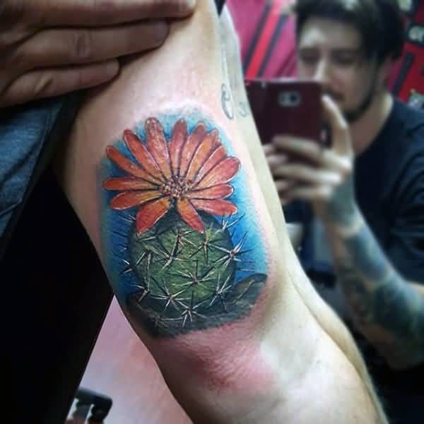 Realistic Cactus Flower With Blue Background Tattoo On Bicep