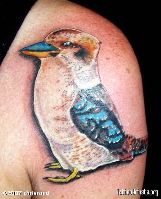 Realistic Kookaburra Tattoo On Left Shoulder