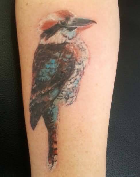 Realistic Kookaburra Tattoo