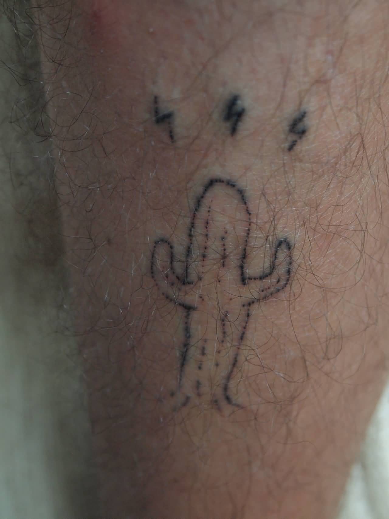 Simple Outline Cactus Tattoo