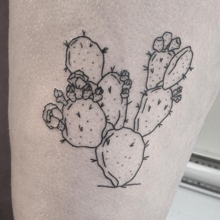 Simple Prickly Pear Cactus With Flowers Tattoo