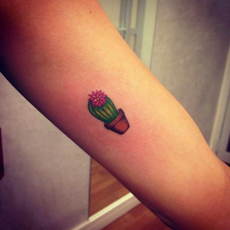 Small Cactus With Pot Tattoo On Bicep