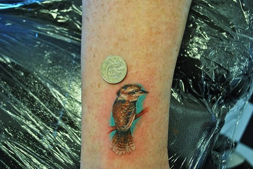 Small Colorful Kookaburra Tattoo