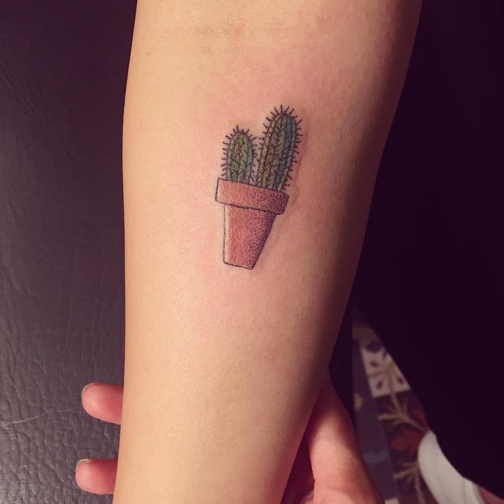 Small Two Cactus Plants In One Pot Tattoo On Forearm