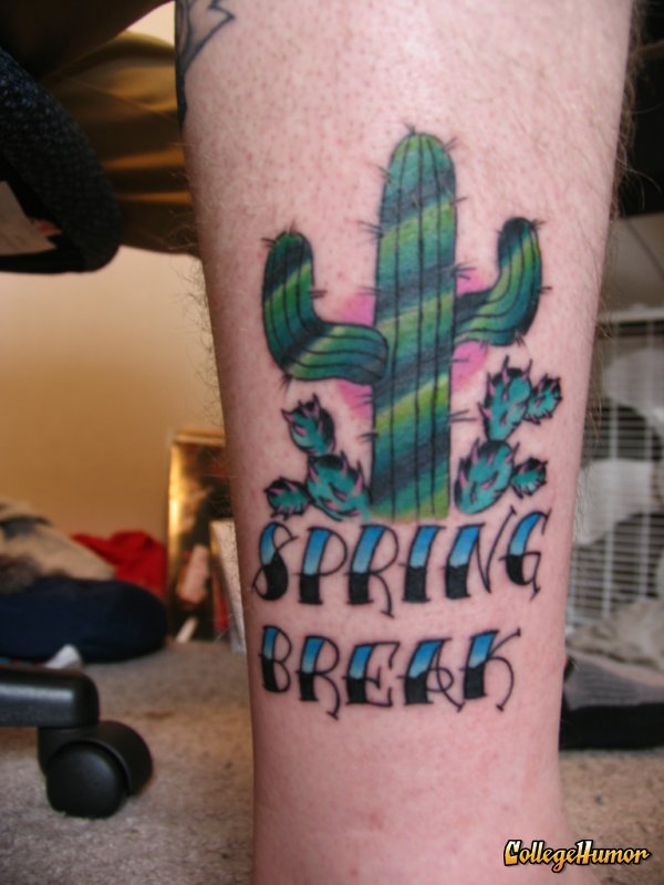 Spring Back Cactus Traditional Tattoo On Leg