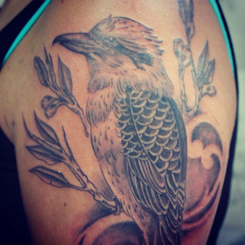 Terrific White And Black Kookaburra Tattoo On Left Shoulder