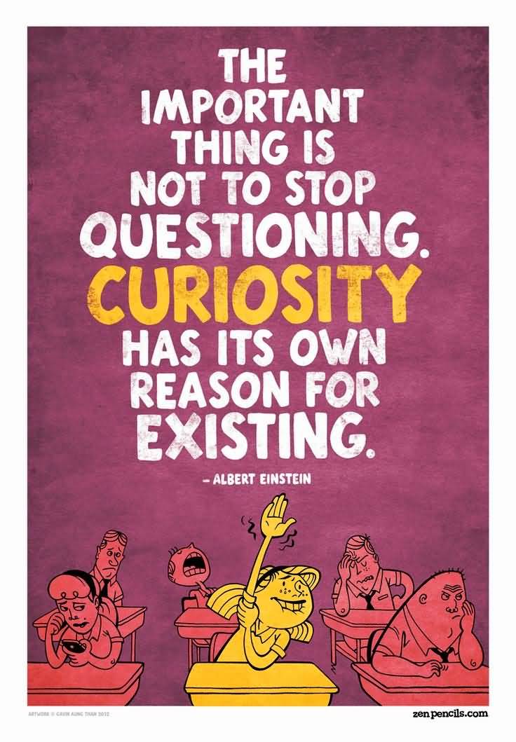 The important thing is not to stop questioning. Curiosity has its own reason for existing - Albert Einstein
