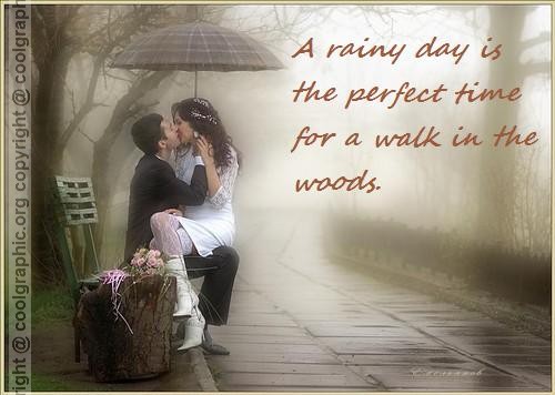 A Rainy Day Is The Perfect Time For A Walk In The Woods.