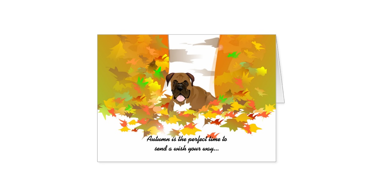Autumn Is The Perfect Time To Send A Wish Your Way Greeting Card