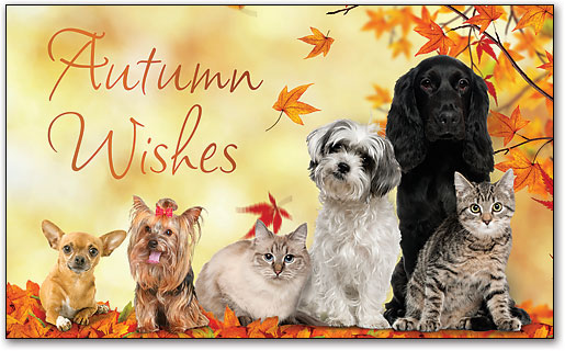 Autumn Wishes From Dogs And Cats Picture