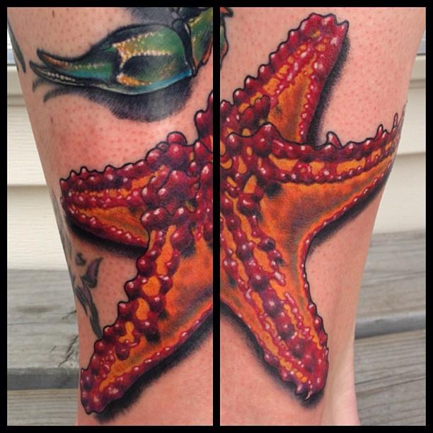 Awesome Colored Starfish Tattoo