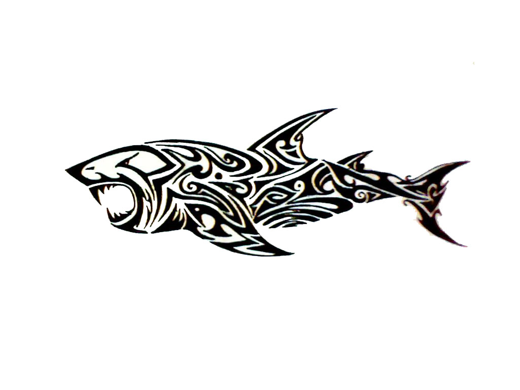 Awesome Tribal Shark Tattoo Design