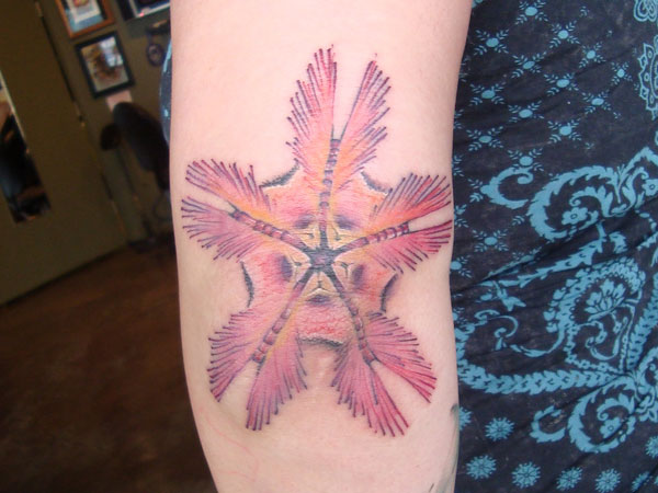 Beautiful Unusual Starfish Tattoo On Arm Sleeve