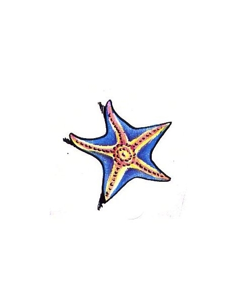 Blue Color Starfish Tattoo Design