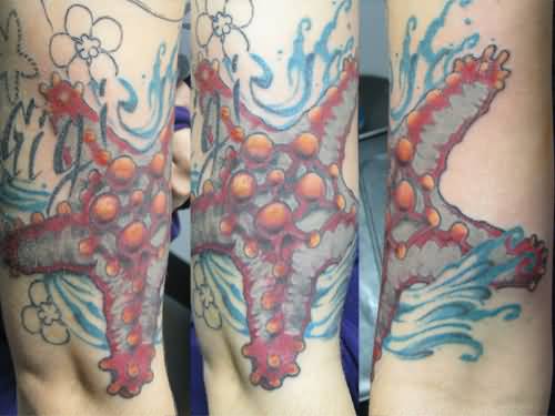 Colored Starfish Tattoo On Half Sleeve By SunofKyuss