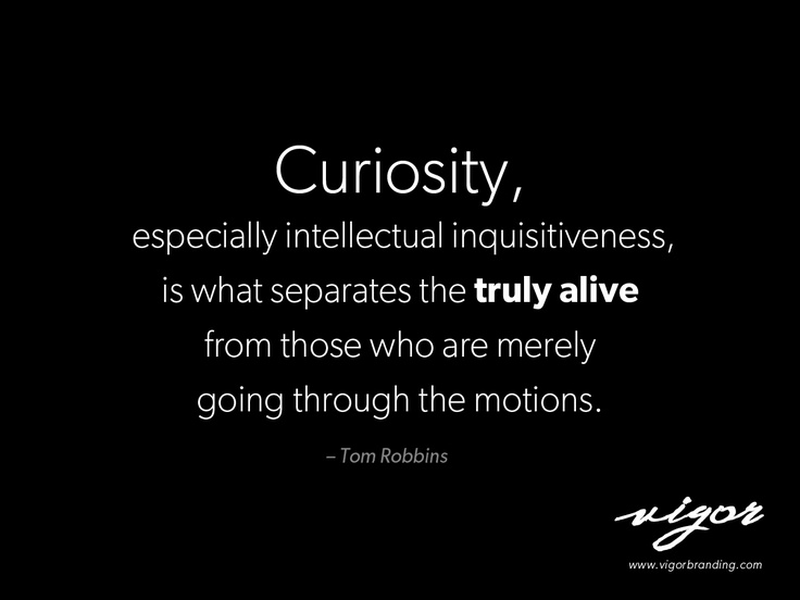 Curiosity, especially intellectual inquisitiveness, is what separates the truly alive from those who are merely going through the motions - Tom Robbins