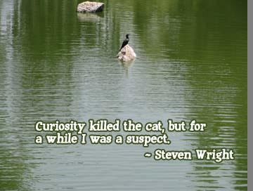 Curiosity killed the cat, but for a while I was a suspect.