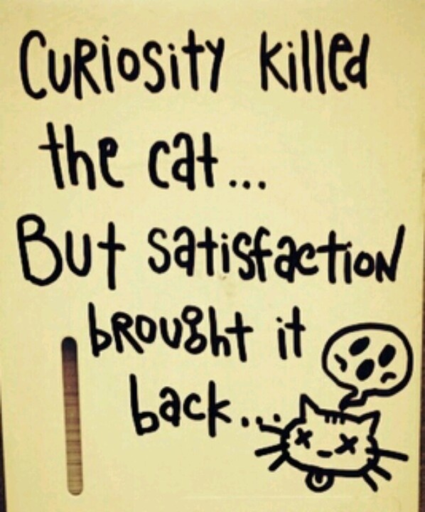 Curiosity killed the cat, but satisfaction brought it back