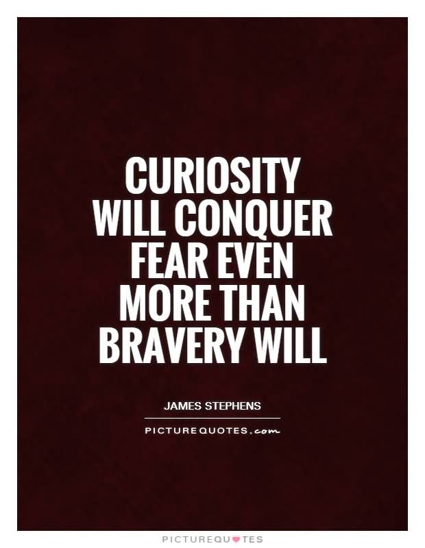 Curiosity will conquer fear even more than bravery will - James Stephens