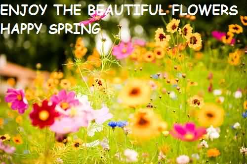 Enjoy The Beautiful Flowers Happy Spring Wishes Picture